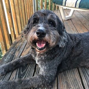 Meet your Posher, Anna